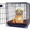 Pet Adobe Pet Adobe Small/Medium Self Warming Thermal Crate Pad-25x18-Chocolate 276849SZI - alternate 5